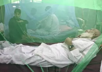 Islamabad witnesses spike in dengue cases